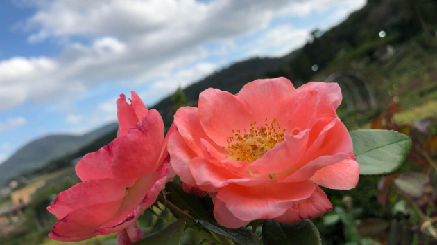 何かを得るには何かを捨てなければならない