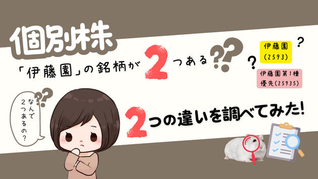 カバー画像