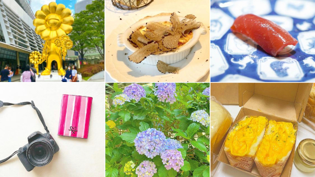 インスタグラム運用サポートを始めた理由