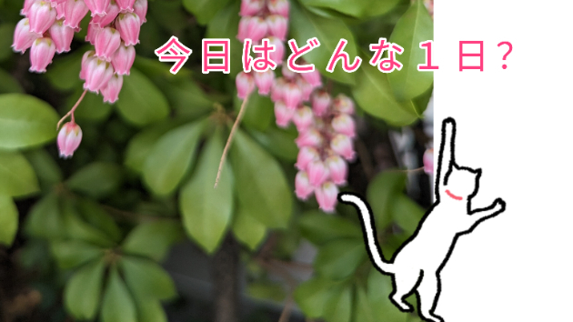 今日はどんな一日？(2023/4/6)