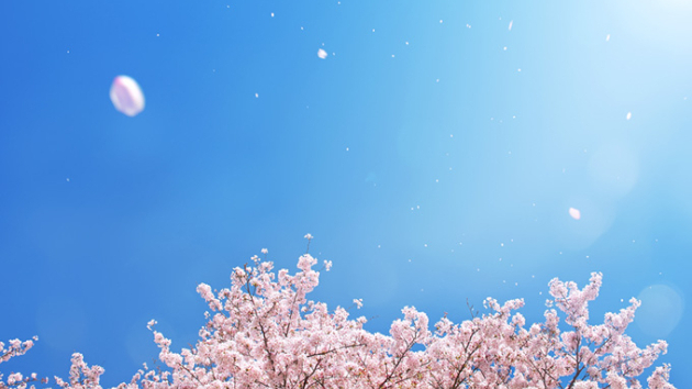 無料占い　４月！新生活に起こる嬉しい出来事