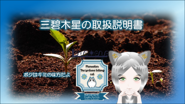 🌳 三碧木星の取扱説明書