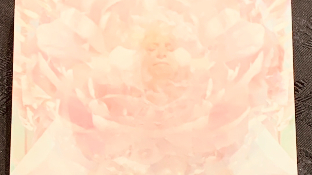 THE SECOND BLOOM