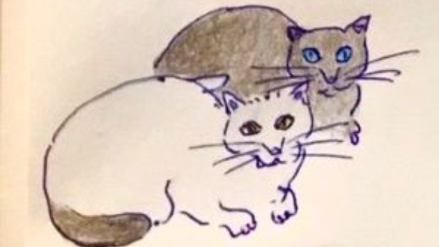 カバー画像