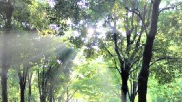 真実の言葉 263【神との対話①】