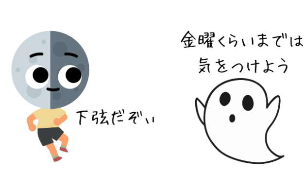🌟今日は下弦🌗だったわぃ💦