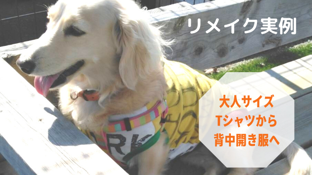 カバー画像