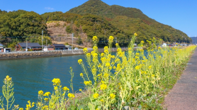 心の衣替え、始めてみませんか？