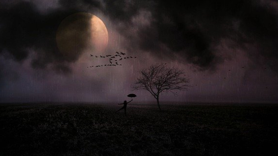 必要な孤独と孤独に勝ち強くなる方法 ソラさん Coconalaブログ