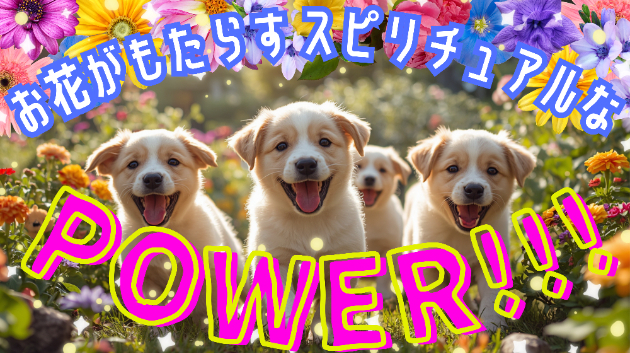 カバー画像