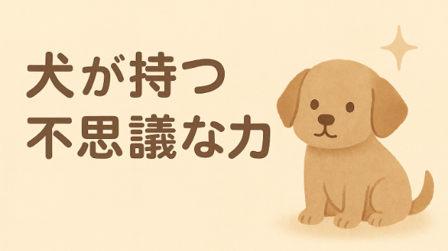 🐾 犬が持つ“不思議な力”  〜家の空気を変え、人の心まで変えてしまう存在〜
