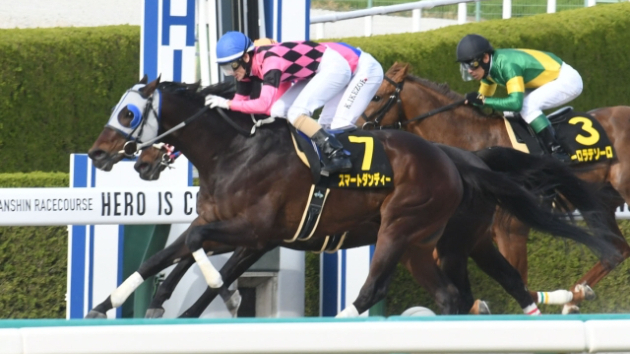 土曜日の無料買い目情報