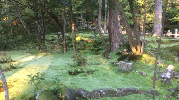 相手の行動について