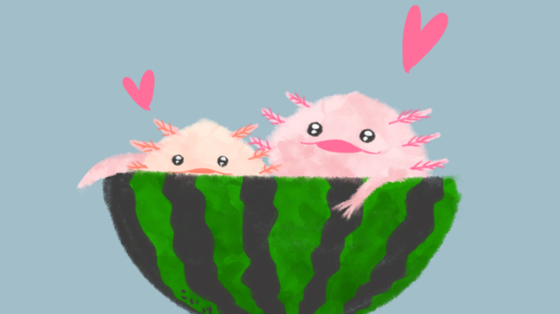 お腹いっぱい