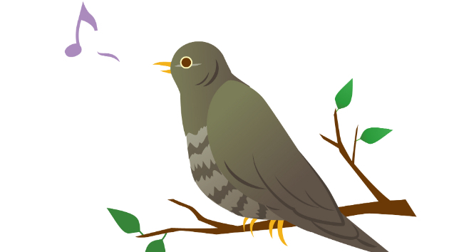 ホトトギス鳴かぬなら 私が鳴きますホトトギス 精神崩壊寸前ケア やっさん Coconalaブログ