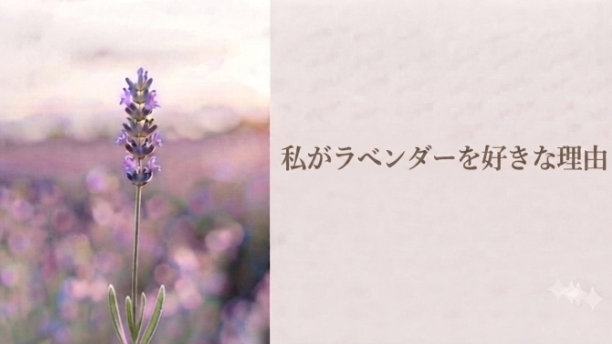 『私がラベンダーを好きな理由🪻』