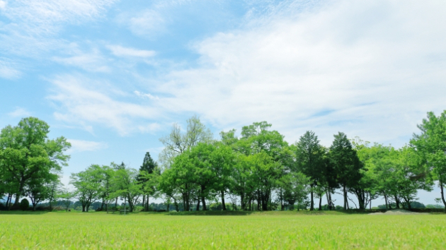 女教皇（司祭）の自己流解釈