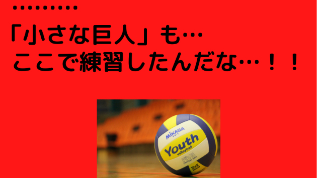ハイキュー の名言 あらすじを紹介 １巻 8 フーミン ふんわりとした話し相手 Coconalaブログ