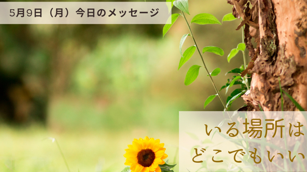 貴方が居ていい場所は沢山ある