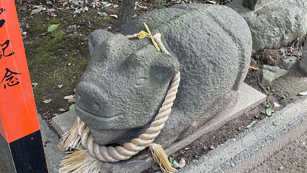 カバー画像