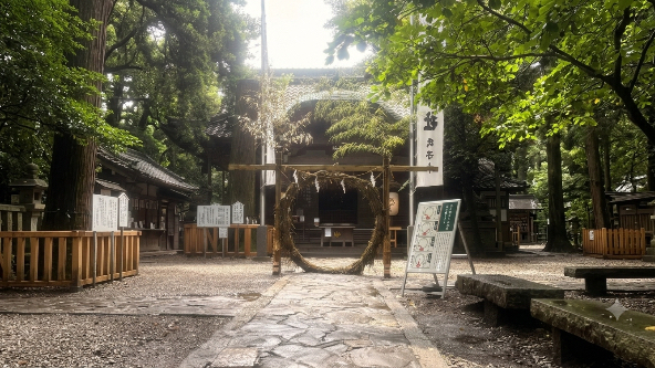 カバー画像