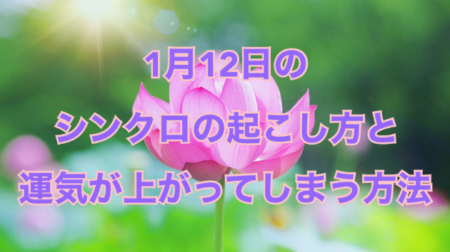 １月１２日のシンクロの起こし方と運気が上がってしまう方法☆彡