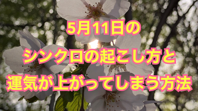 ５月１１日のシンクロの起こし方と運気が上がってしまう方法☆彡