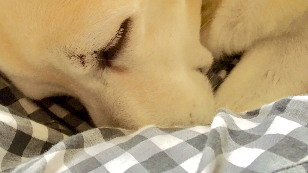 カバー画像