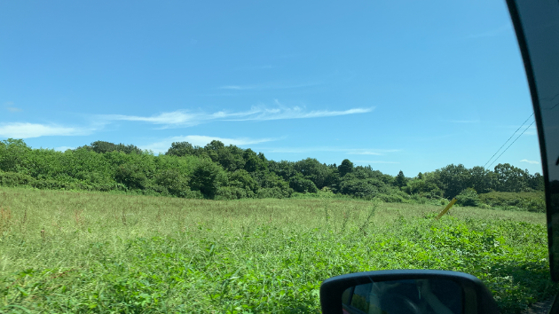 プラチナランクに昇格しました
