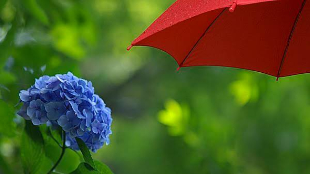 第212回　女性「太陽（丙）」と男性「雨（癸）」の相性
