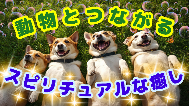 ✨動物とつながる✨スピリチュアルな癒し✨