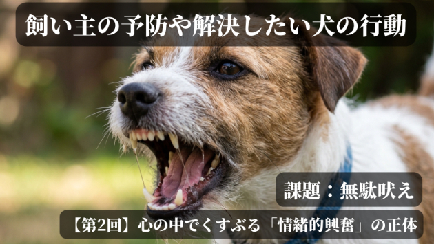 【第2回】犬の無駄吠えについて