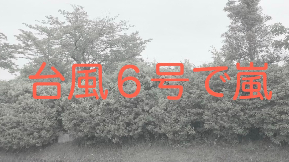 カバー画像
