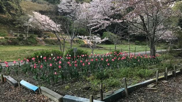里山スケッチ　その2