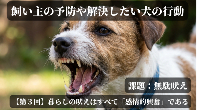 暮らしの吠えはすべて「感情的興奮」である