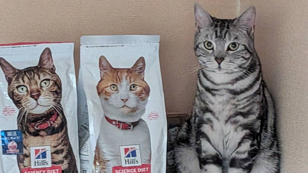 カバー画像