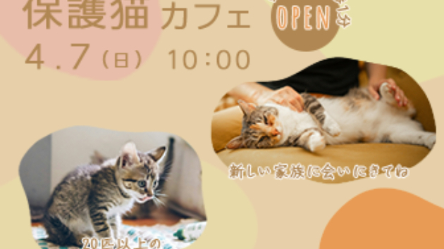 カバー画像