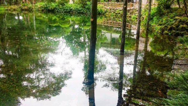 湧き水・・・心の浄化