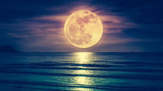 月夜が綺麗です月光浴しましょう　