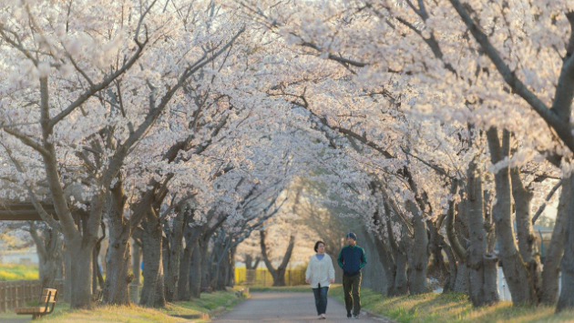継続するには？　その５