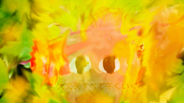 午の一刻