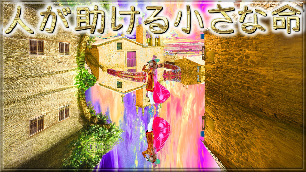 カバー画像