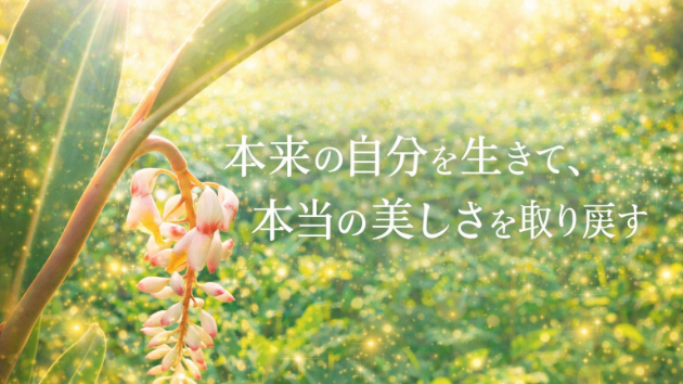 カバー画像