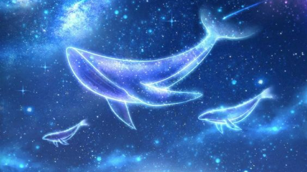 【2024年１０月１日、明日のツインレイの彼の気持ち　星座占い　カステラ王子　小暮料理長】