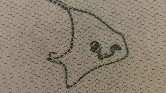 ヒト