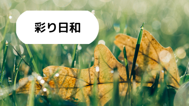 秋に向けて！