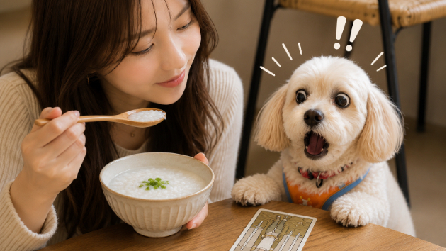 カバー画像