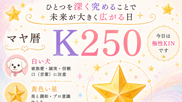 K250　ひとつを深く究めることで 未来が大きく広がる日かもしれません(^^)/