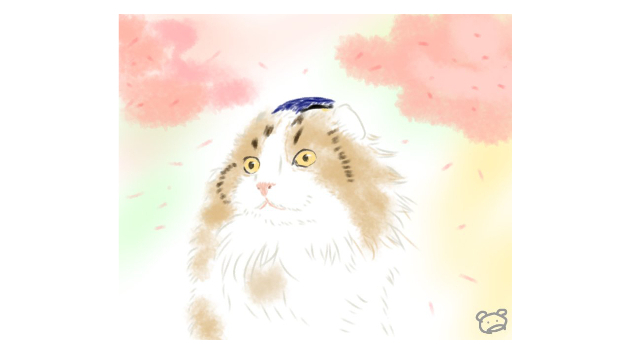 カバー画像