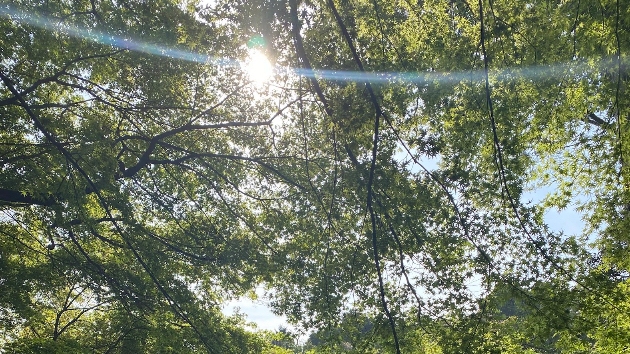 ４月８日（土）敏感に感じ取ったことを具現化する日！